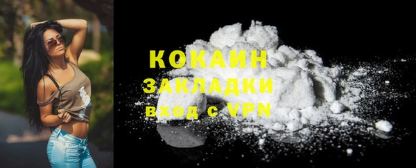 гашик Белокуриха