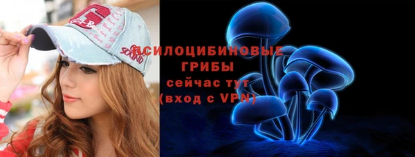 прущие грибы Армянск