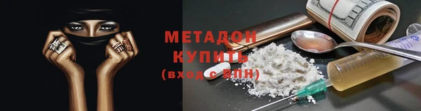 прущие грибы Армянск